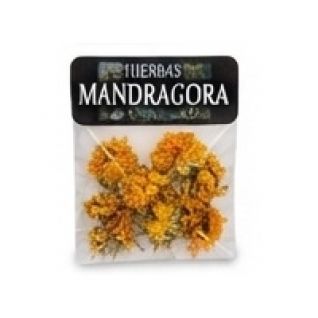 Hierba Mandragora